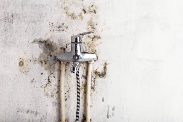 Best Home Mold Removal  in Grantley, PA
