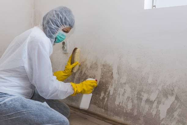 Best Emergency Mold Removal  in Grantley, PA