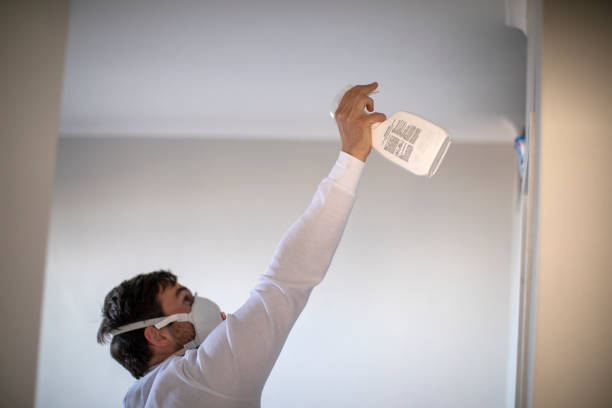 Trusted Grantley, PA Mold Removal Experts