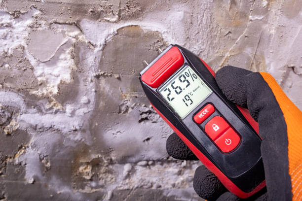 Best Residential Mold Removal  in Grantley, PA