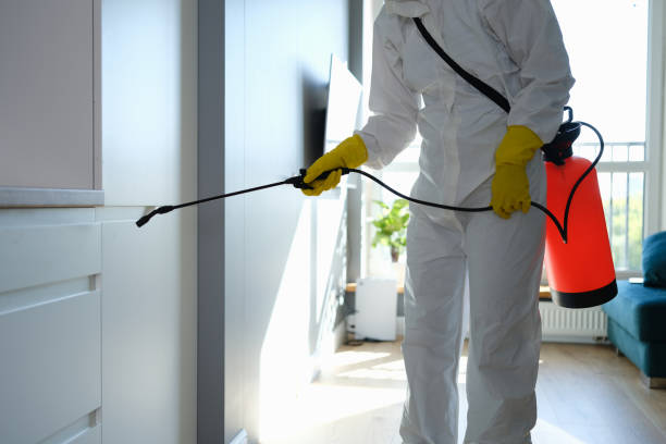 Best Local Mold Removal Service  in Grantley, PA