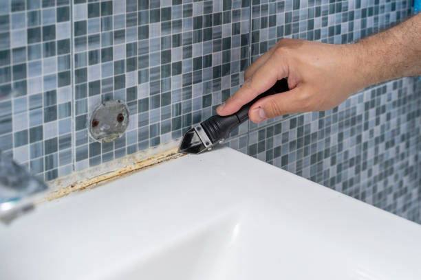 Best Mold Testing  in Grantley, PA