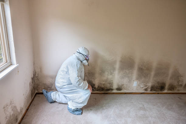 Best Mold Cleaning Services  in Grantley, PA
