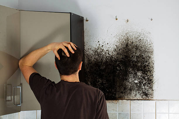 Best Commercial Mold Removal  in Grantley, PA