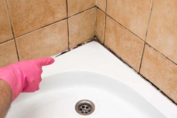 Best Crawl Space Mold Removal  in Grantley, PA